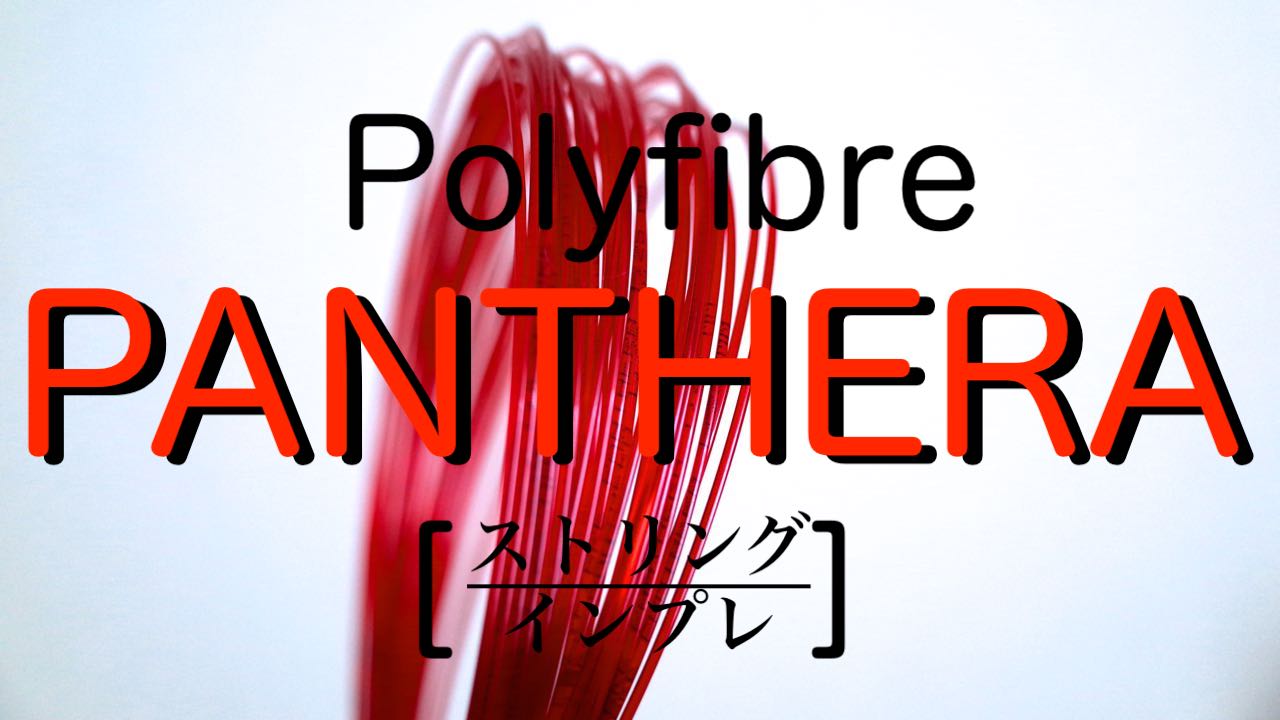 パンテーラ インプレ]数少ないガッチリしたポリエステルストリング｜ポリファイバー Panthera｜アドブロ/テニス