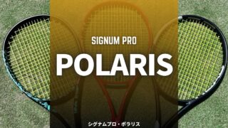 シグナムプロ・ポラリス(Signum pro Polaris)のインプレッション、レビュー、評価、感想