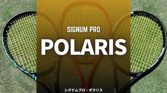 シグナムプロ・ポラリス(Signum pro Polaris)のインプレッション、レビュー、評価、感想