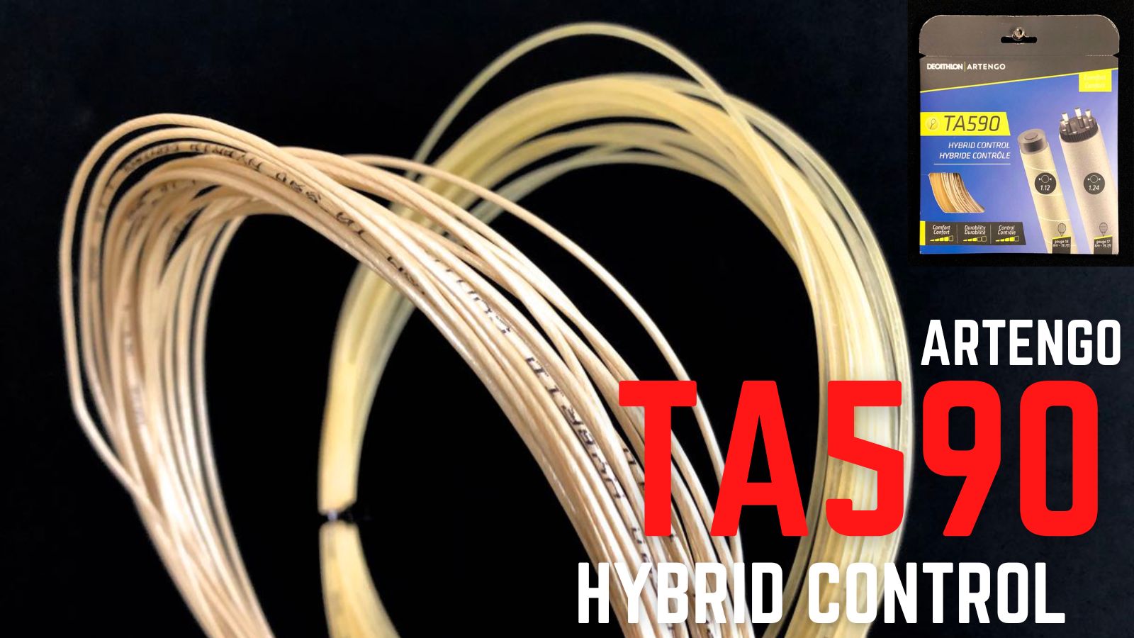 TA590(アルテンゴ)をインプレ！個性的で低価格なハイブリッド