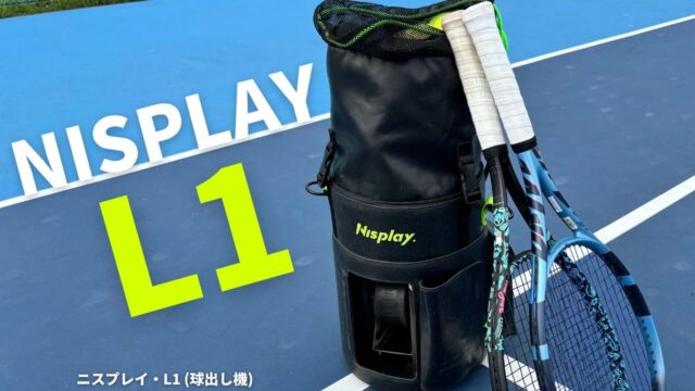 nisplay l1 感想