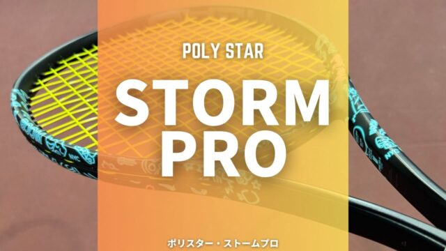 ポリスター・ストームプロ(Polystar STORM PRO)のインプレッション・レビュー・感想・評価